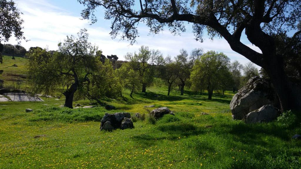 Casa Rural Castillo De Caces Eksteriør bilde