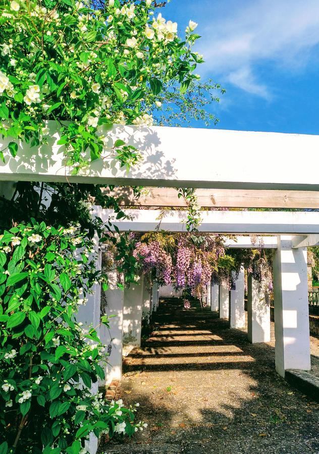 Casa Rural Castillo De Caces Eksteriør bilde